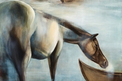 Water Horse 1